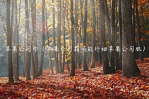 苹果公司币(苹果公司霜吗能纤细苹果公司肌)