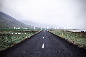 lbank(lbank证券交易所排亚洲地区前四)