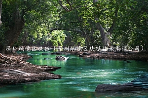 深圳炳德区块链(深圳炳德区块链技术有限公司)