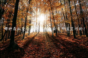 哪种虚拟货币是灰度持仓最有升值空间的!