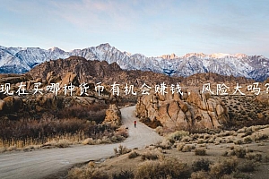 现在买哪种货币有机会赚钱,风险大吗?