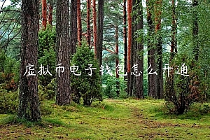 虚拟币电子钱包怎么开通