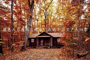 被卷入币圈死亡螺旋,我的千万资产天归零