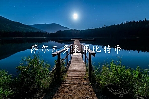 萨尔瓦多采用比特币