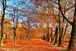 英伟达元宇宙发布会