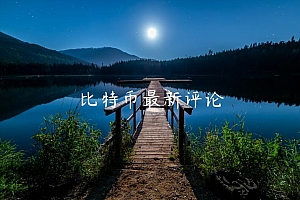 比特币最新评论