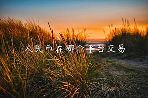 人民币在哪个平台交易