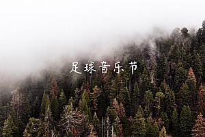 足球音乐节