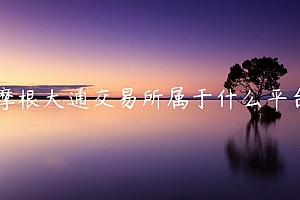 摩根大通交易所属于什么平台