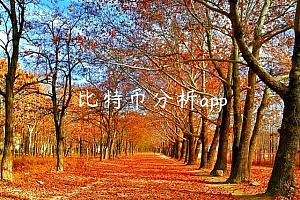 比特币分析app