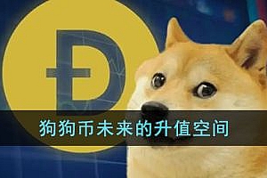 狗狗币未来的升值空间(狗狗币未来涨到150美元)