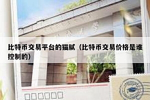 比特币交易平台的猫腻(比特币交易价格是谁控制的)