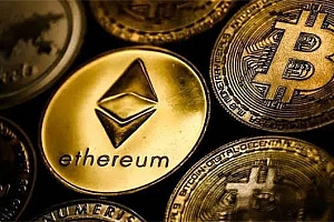 FN币最高的价格是多少