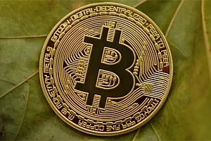 LLM币历史最低价格是多少