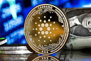 除了火币网还有什么交易平台|什么平台可以买usdt