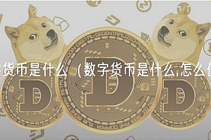 数字货币是什么(数字货币是什么,怎么使用)