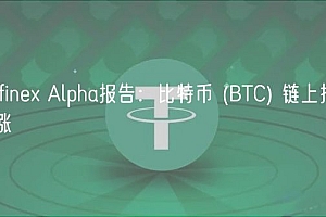 Bitfine Alpha报告:比特币 (BTC) 链上指标看涨