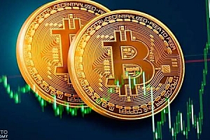 狗狗币价格今日行情  狗狗币最新行情分析