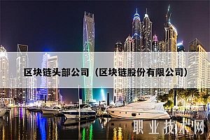 区块链头部公司(区块链股份有限公司