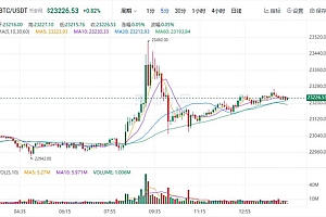 比特币今日最新行情 btc行情大局分析