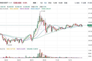 BNB近期最新价格 BNB近期行情K线图