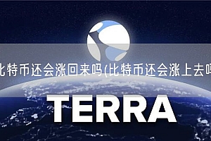 比特币还会涨回来吗(比特币还会涨上去吗)