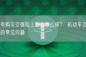 没有购买交强险上路会怎么样? 机动车交强险的常见问题