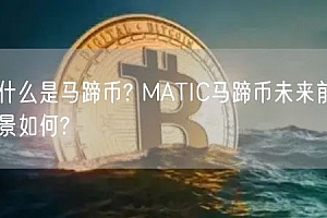 什么是马蹄币? MATIC马蹄币未来前景如何?