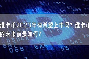 维卡币2023年有希望上市吗? 维卡币的未来前景如何?