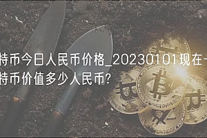 比特币今日人民币价格_20230101现在一个比特币价值多少人民币?