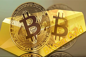 BSL币怎么样? BSL币发行量是多少?