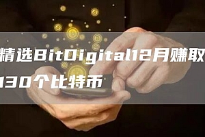 精选BitDigital12月赚取130个比特币