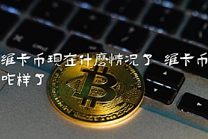 维卡币现在什么情况了 维卡币咋样了