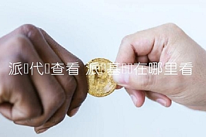 派币代码查看 派币基础币在哪里看