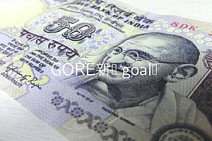 GORE新币 goal币