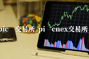 pic币交易所 pi币cne交易所