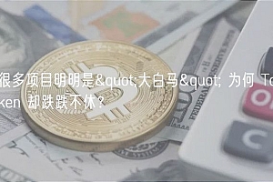 很多项目明明是"大白马" 为何 Tokn 却跌跌不休?