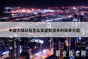 中国大陆以后怎么买虚拟货币的简单介绍