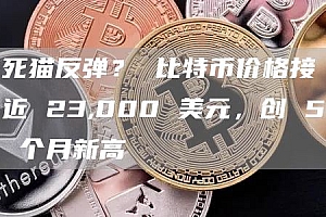 死猫反弹? 比特币价格接近 23,000 美元,创 5 个月新高