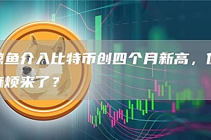 鲸鱼介入比特币创四个月新高,但麻烦来了?
