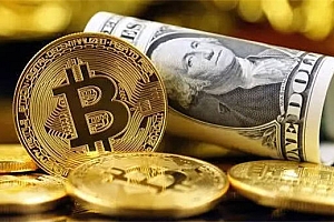 DEBT币最低的价格是多少