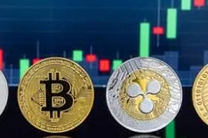 OMG币最新价格是多少