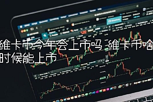 维卡币今年会上市吗