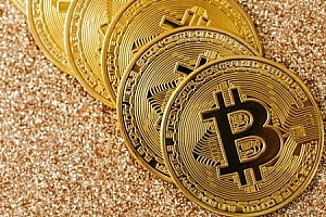 pi币尼古拉斯最新消息(pi币尼古拉斯博士)