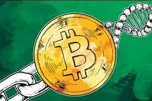 兀币的最新消息与新闻(兀币最新情况官网)