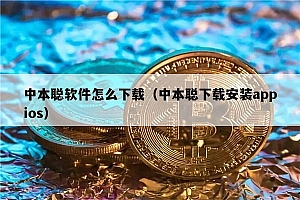 中本聪软件怎么下载(中本聪下载安装appios)
