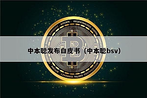 中本聪发布白皮书(中本聪bsv)
