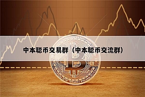 中本聪币交易群(中本聪币交流群)