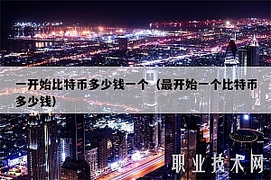 一开始比特币多少钱一个(最开始一个比特币多少钱