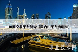 BI网交易平台简介(国内BI平台有哪些